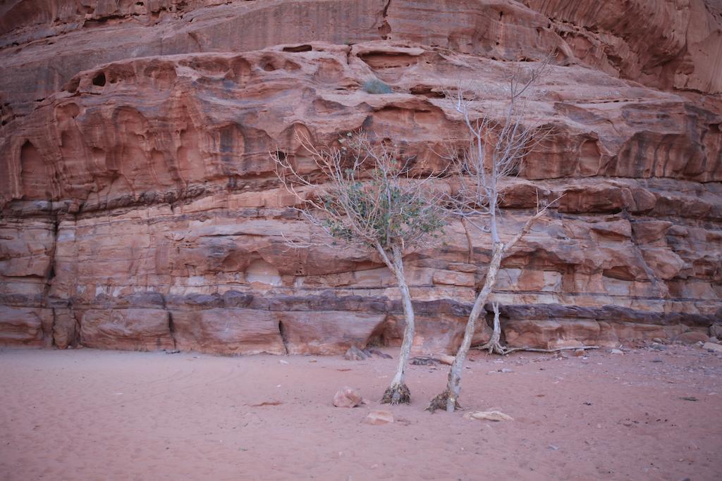 Bedouin Expedition Wadi Rum Zewnętrze zdjęcie