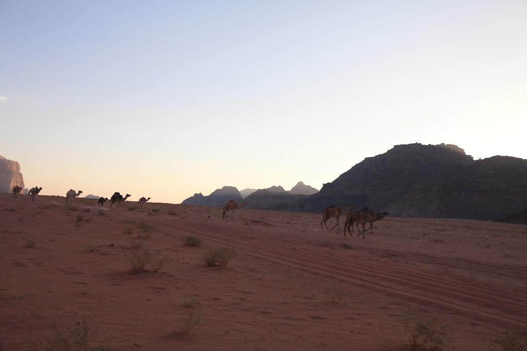 Bedouin Expedition Wadi Rum Zewnętrze zdjęcie