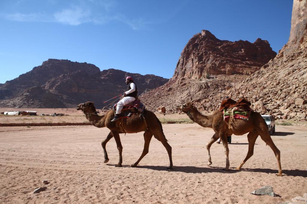 Bedouin Expedition Wadi Rum Zewnętrze zdjęcie