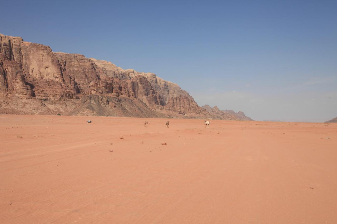 Bedouin Expedition Wadi Rum Zewnętrze zdjęcie